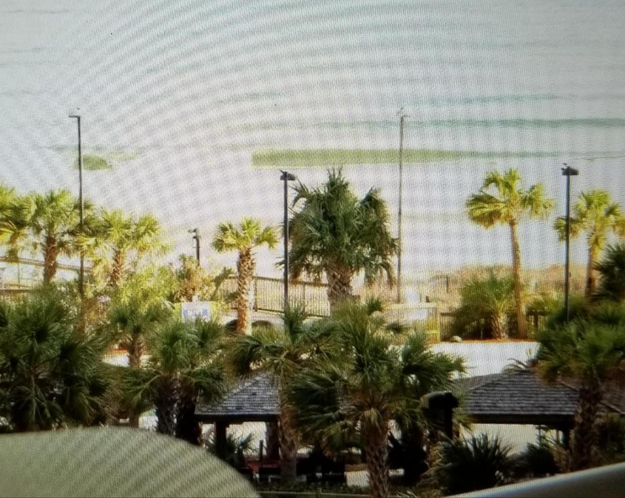 Royal Palms Apartment Briarcliffe Acres Exteriör bild